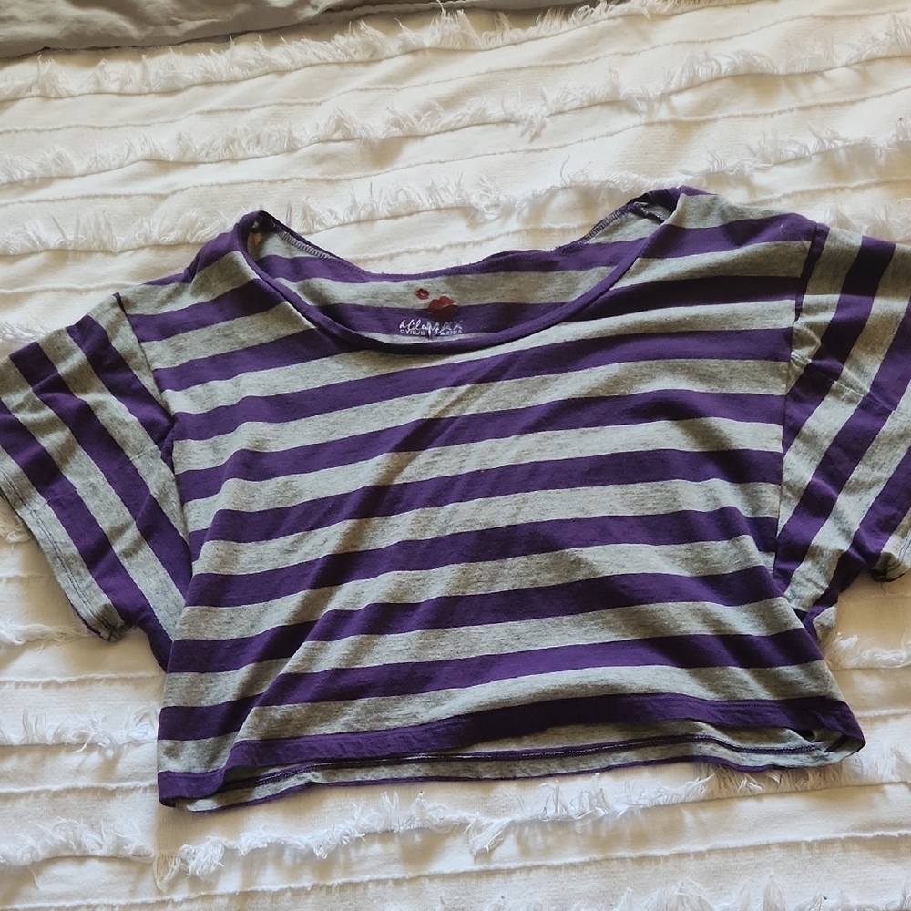 BCBG Purple and Gray Striped Crop Top